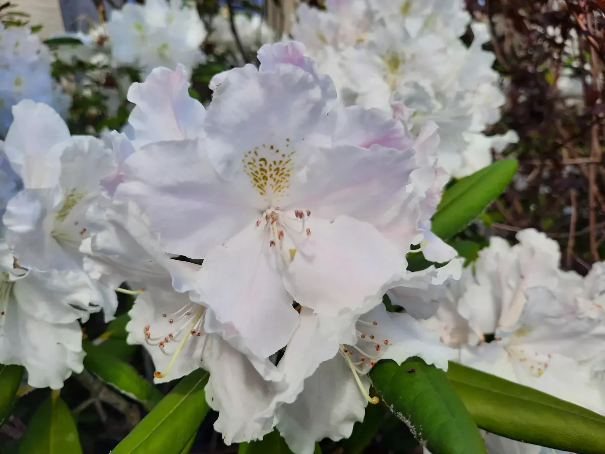 Reiki Uvita con Vivi